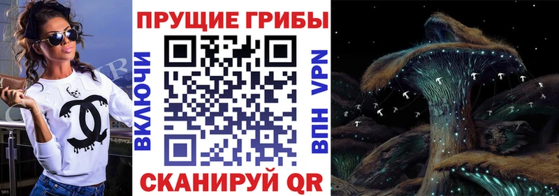 Галлюциногенные грибы Cubensis  Сортавала 